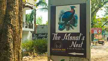 The Monal’s Nest